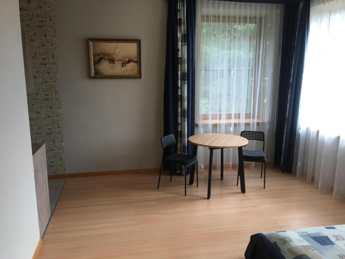 Appartement Domina à VNO Extérieur photo